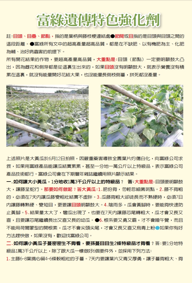 豐年月刊富綠公司報導