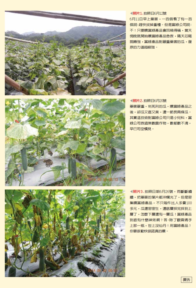 豐年月刊富綠公司報導