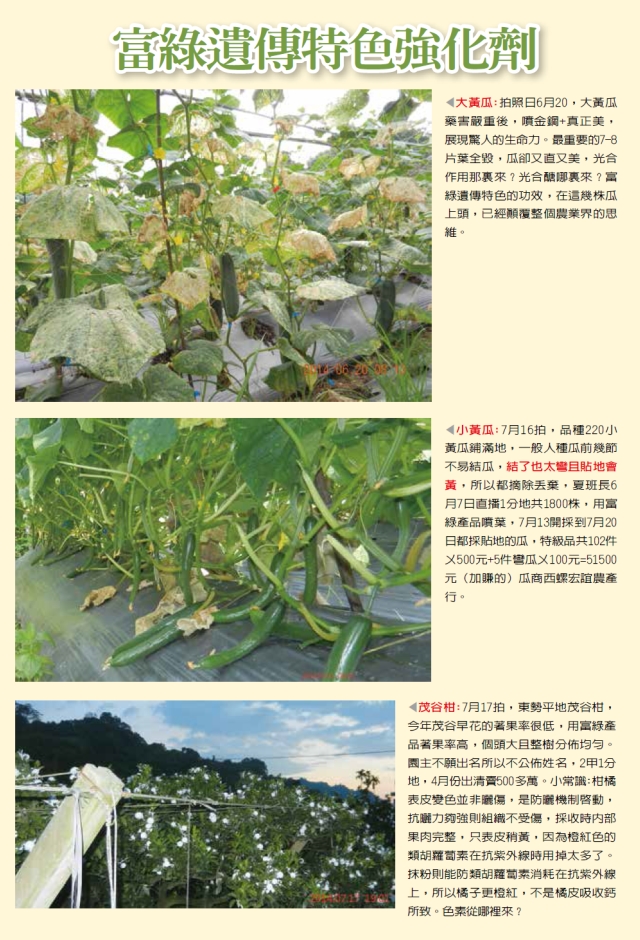 豐年月刊富綠公司報導