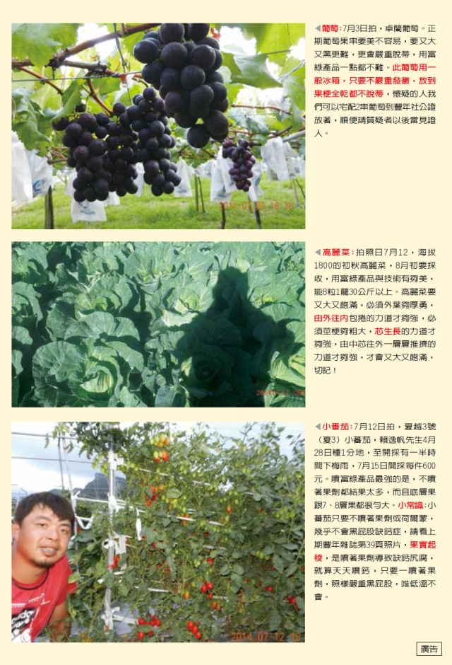 豐年月刊富綠公司報導