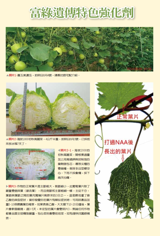 豐年月刊富綠公司報導