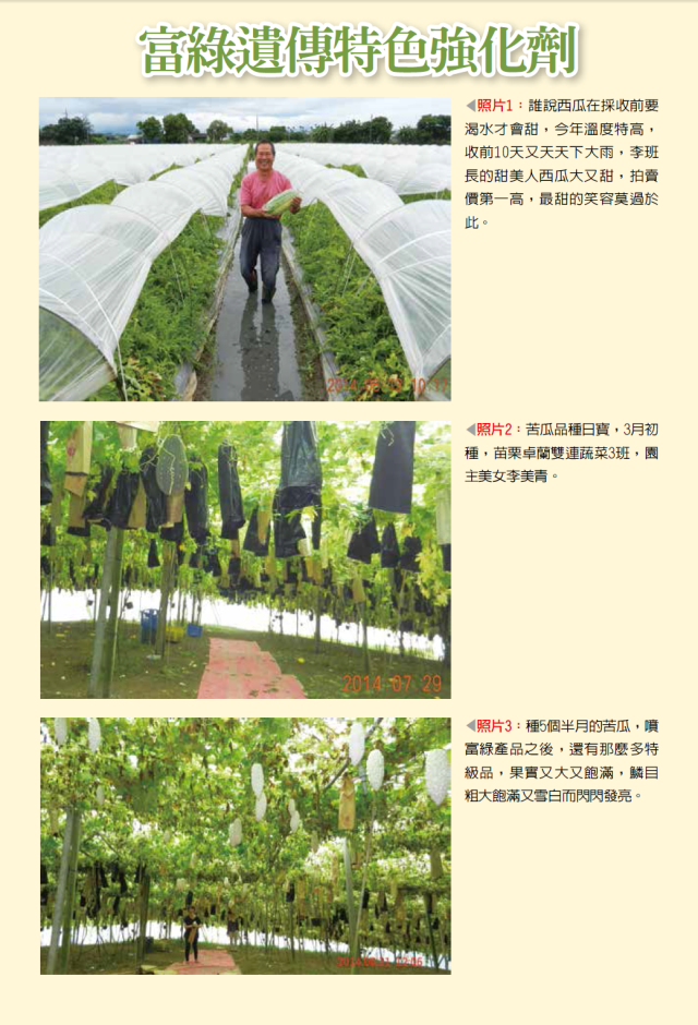 豐年月刊富綠公司報導