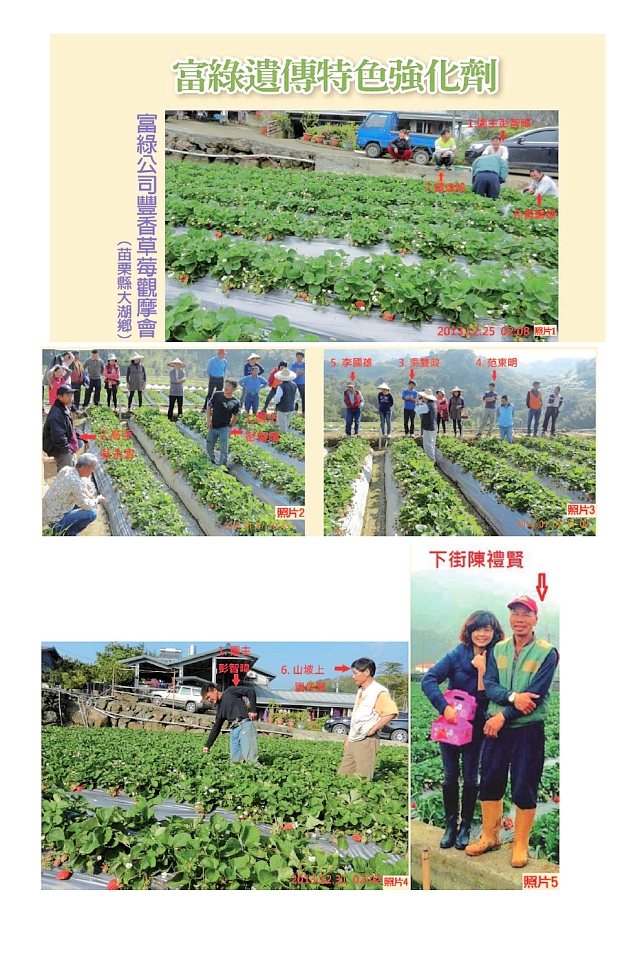 豐年月刊富綠公司報導