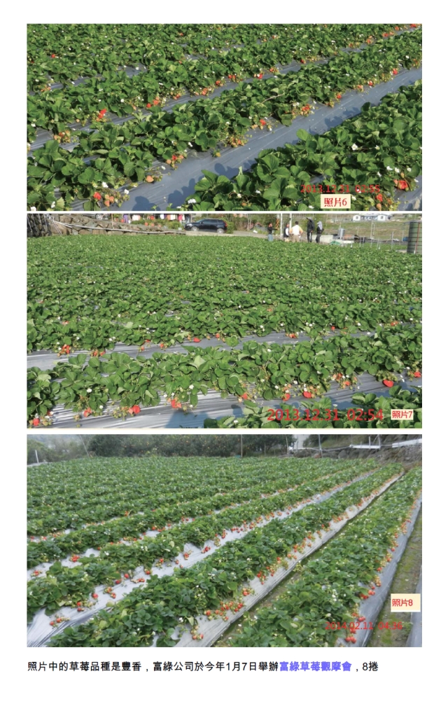 豐年月刊富綠公司報導