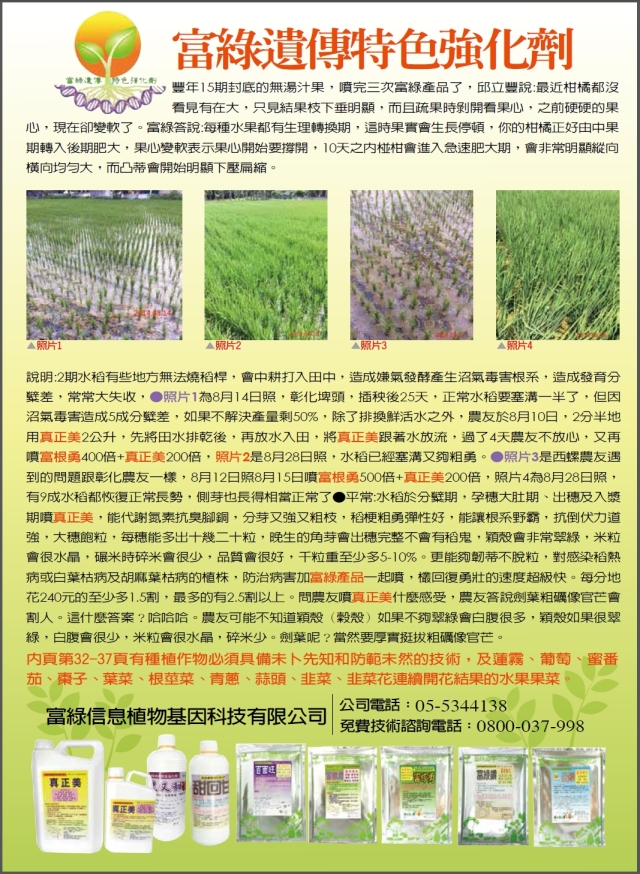 豐年月刊富綠公司報導