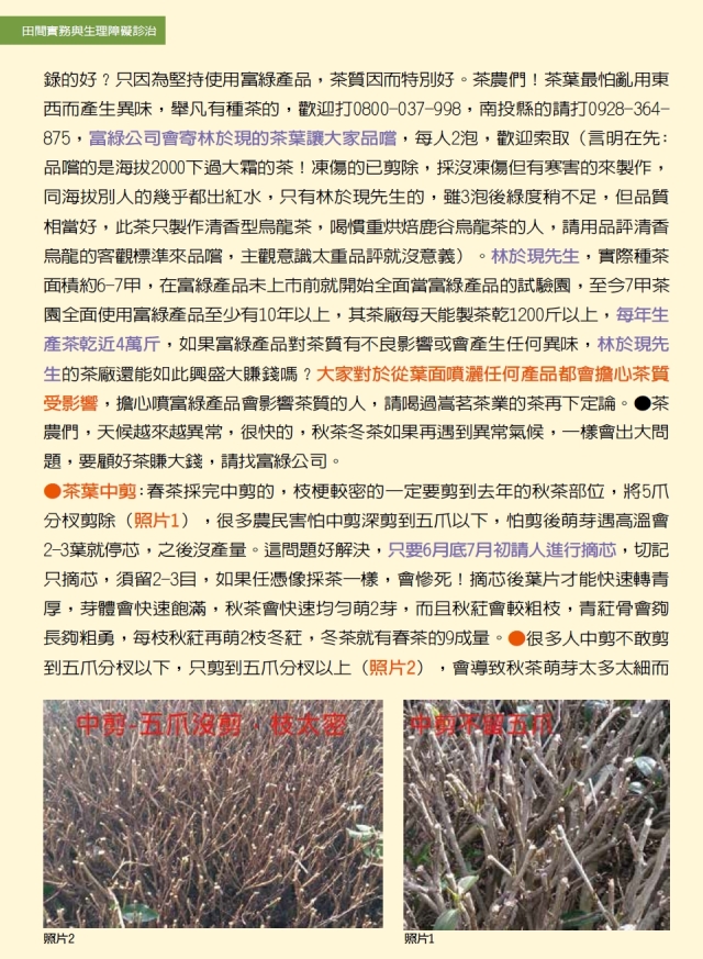 豐年月刊富綠公司報導