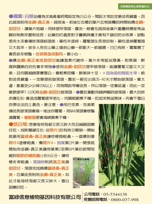 豐年月刊富綠公司報導