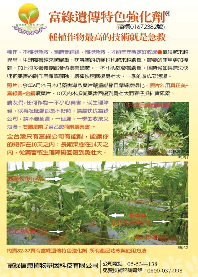 豐年月刊富綠公司報導