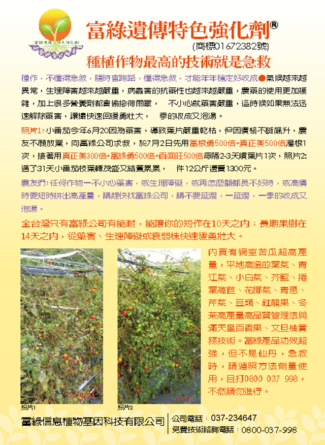 豐年月刊富綠公司報導