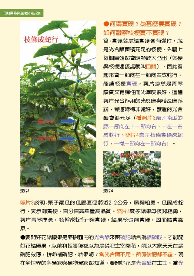 豐年月刊富綠公司報導