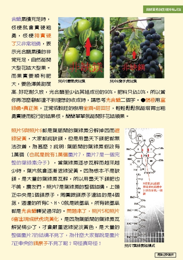 豐年月刊富綠公司報導