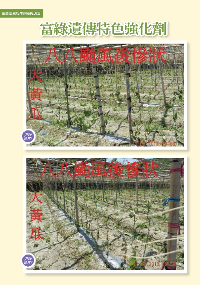 豐年月刊富綠公司報導
