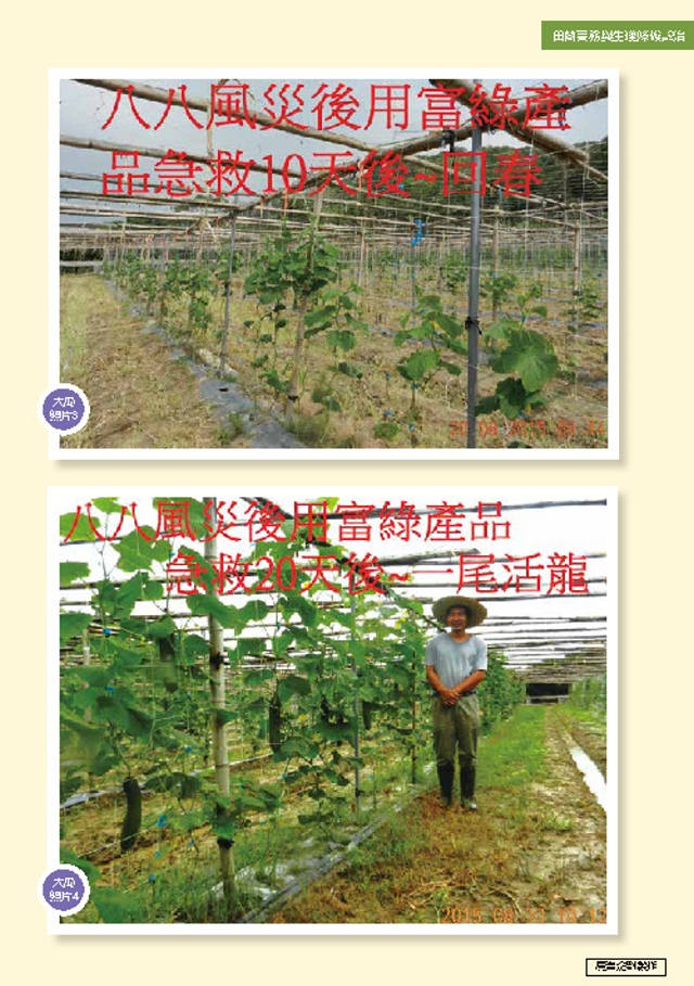 豐年月刊富綠公司報導