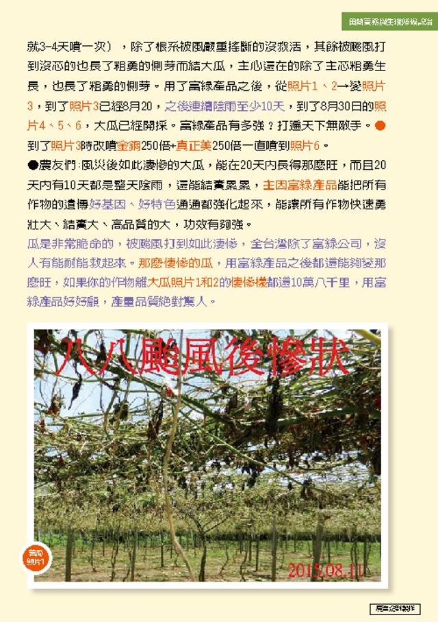 豐年月刊富綠公司報導