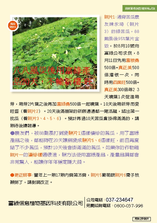 豐年月刊富綠公司報導