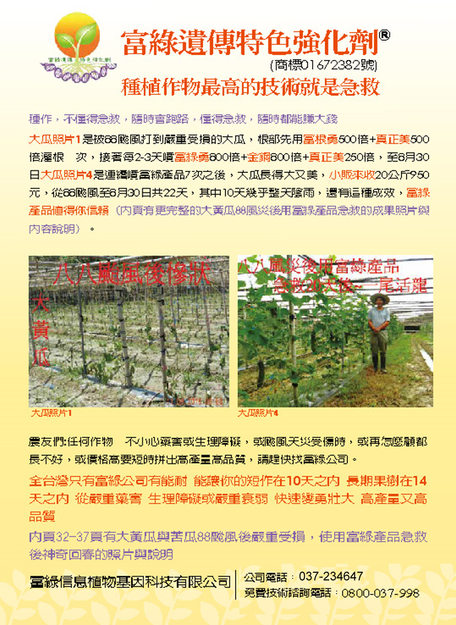 豐年月刊富綠公司報導