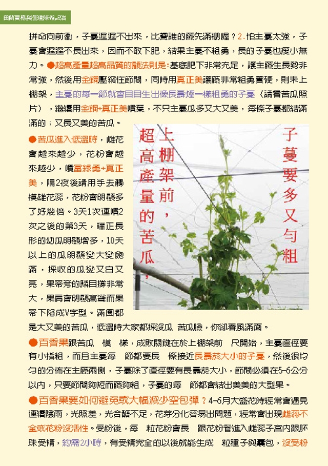 豐年月刊富綠公司報導