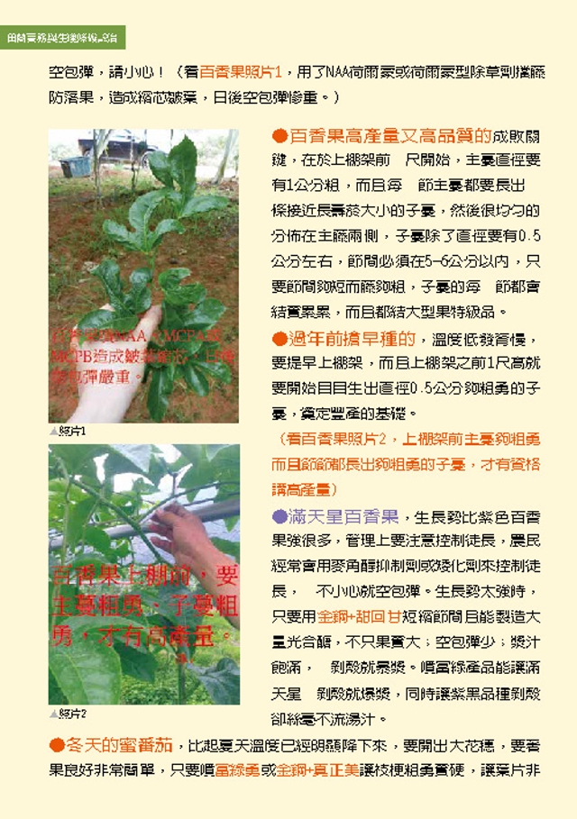 豐年月刊富綠公司報導