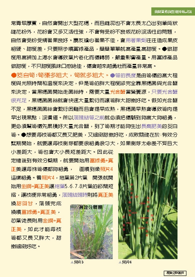 豐年月刊富綠公司報導