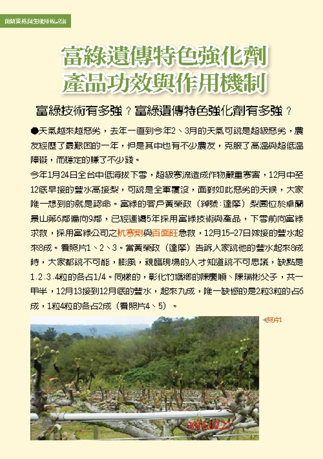 豐年月刊富綠公司報導