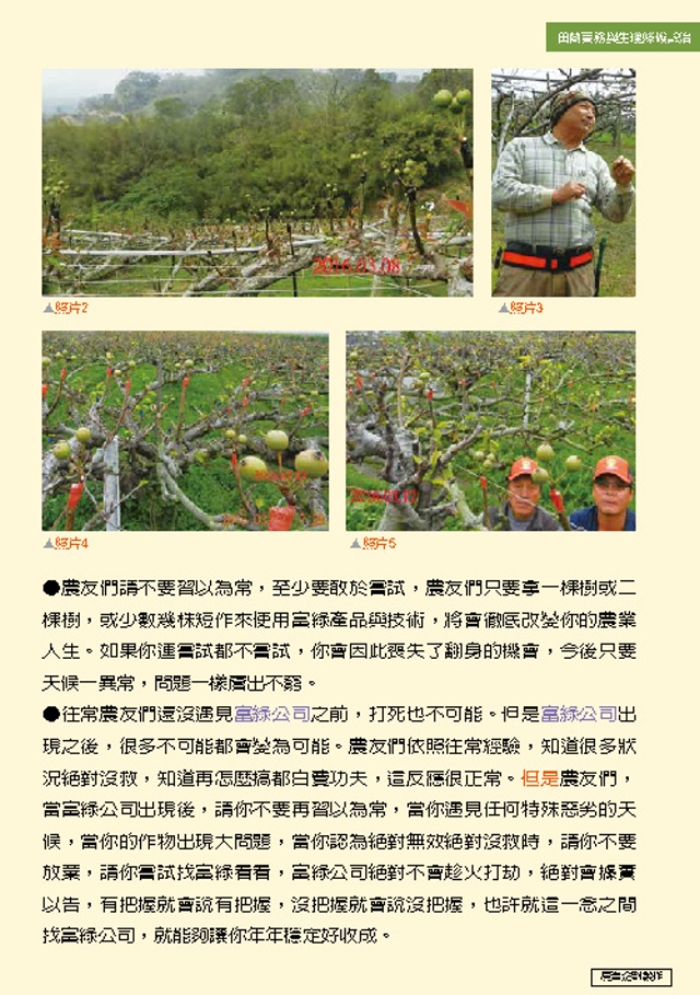 豐年月刊富綠公司報導