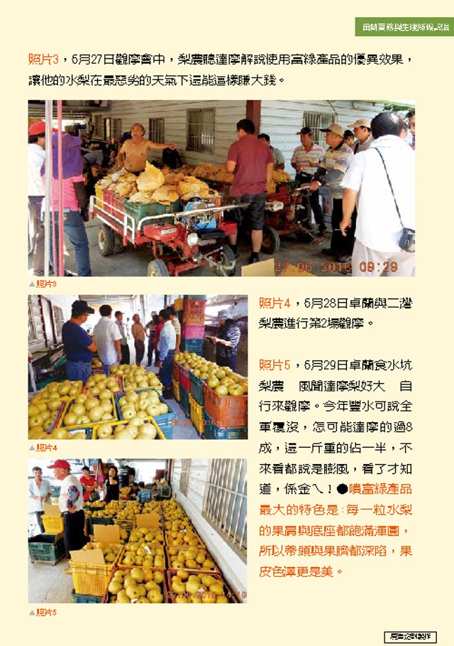 豐年月刊富綠公司報導