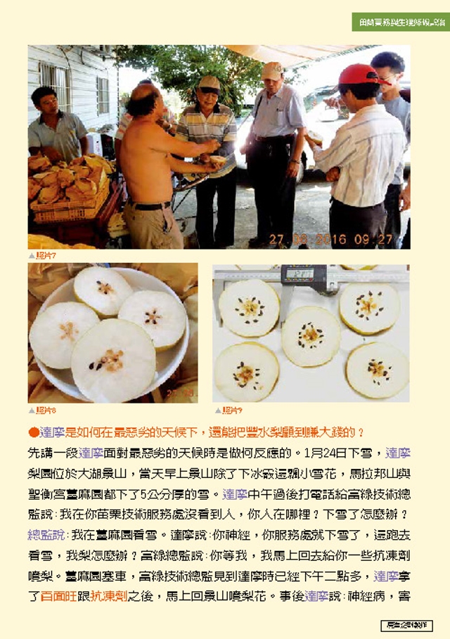 豐年月刊富綠公司報導