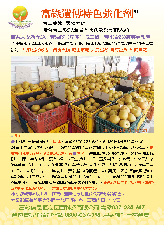 豐年月刊富綠公司報導