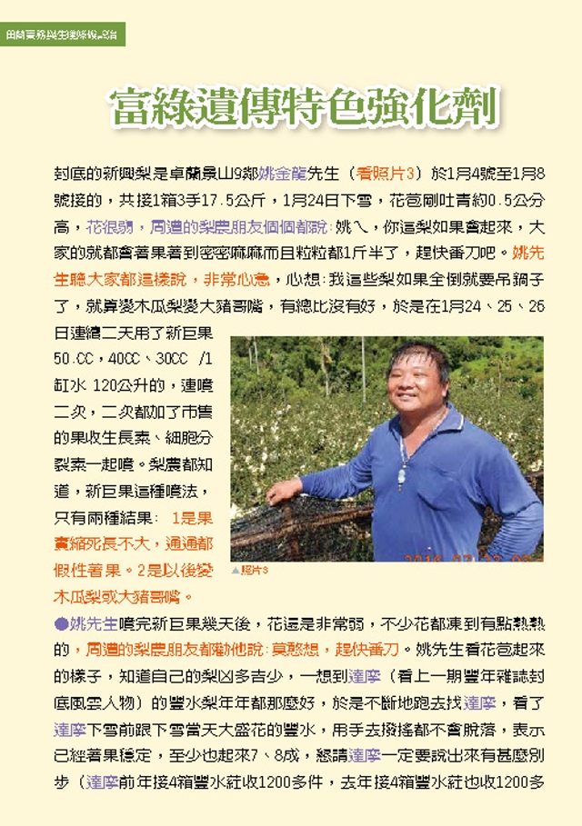 豐年月刊富綠公司報導