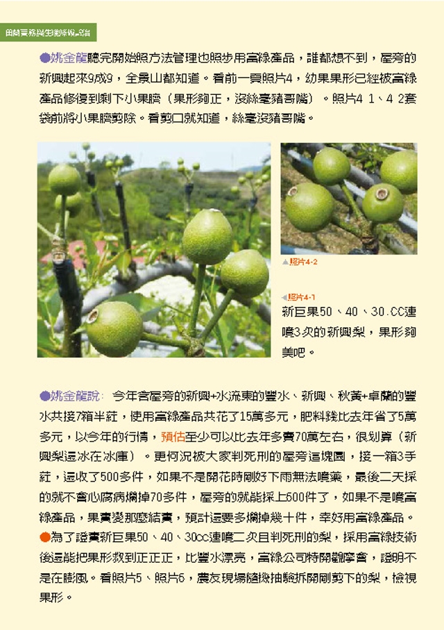 豐年月刊富綠公司報導