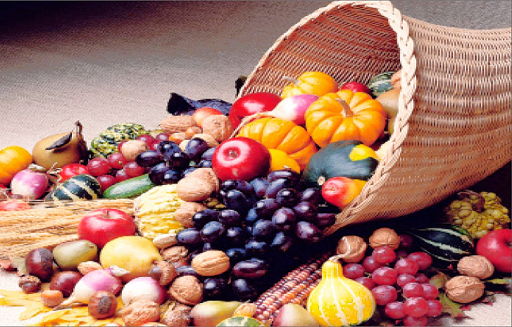 富綠遺傳特色強化劑作物實例三