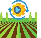 葉面噴灑/根部澆灑有機肥料