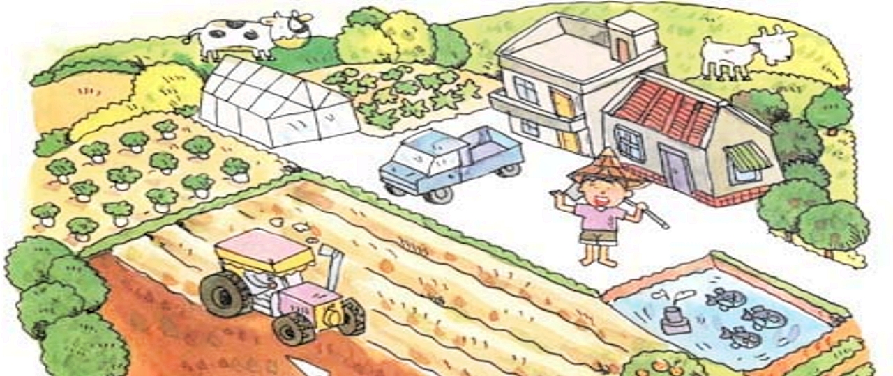 富綠遺傳特色強化劑豐年月刊報導